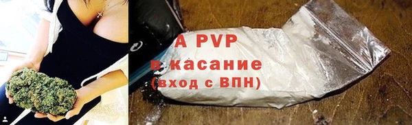 прущие грибы Касимов