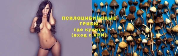 прущие грибы Касимов