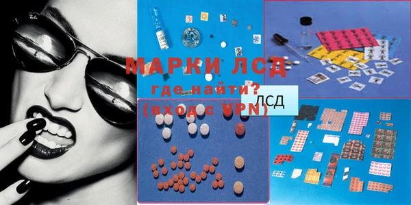 прущие грибы Касимов