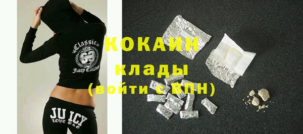 прущие грибы Касимов
